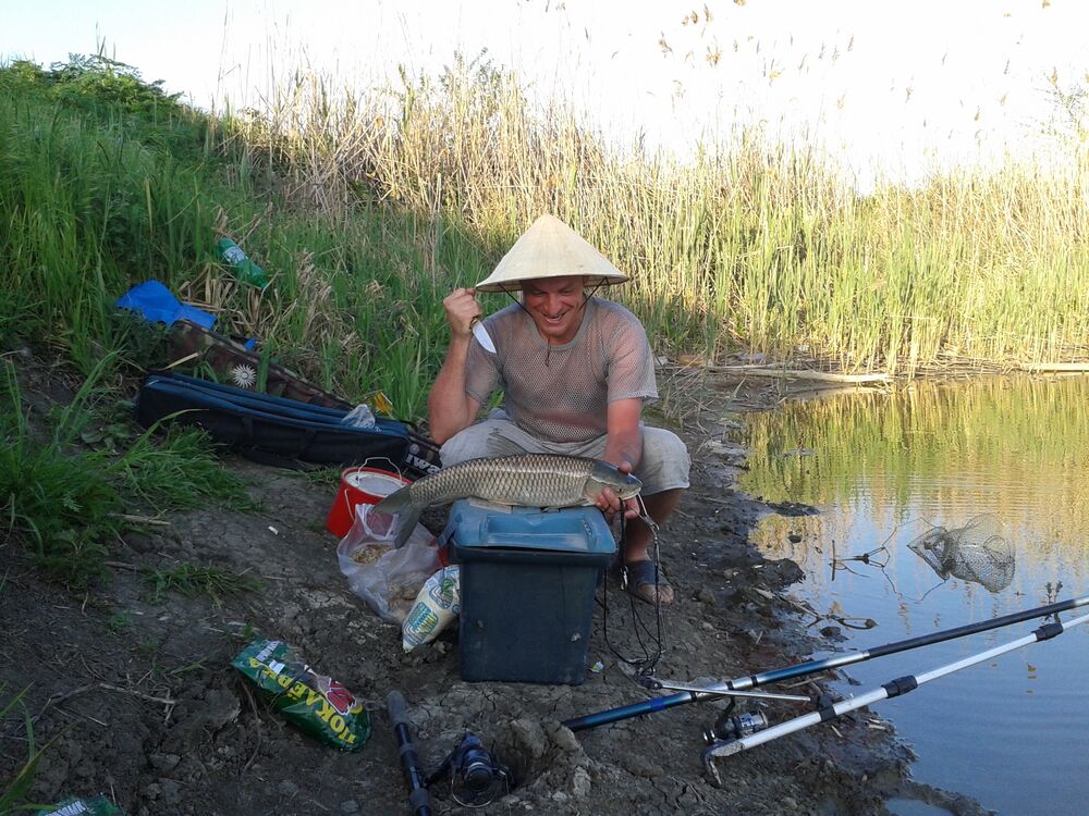 ���������� ���������, ���� ������� ���������, 40 ���, ������������ ��� ����� � ���������, c�������� ���������