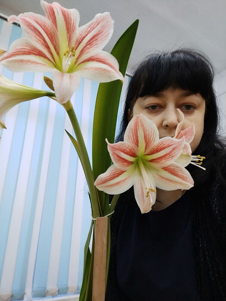 ���������� �������, ���� ������� ����, 41 ���, ������������ ��� ������, ����� � ���������, c�������� ���������