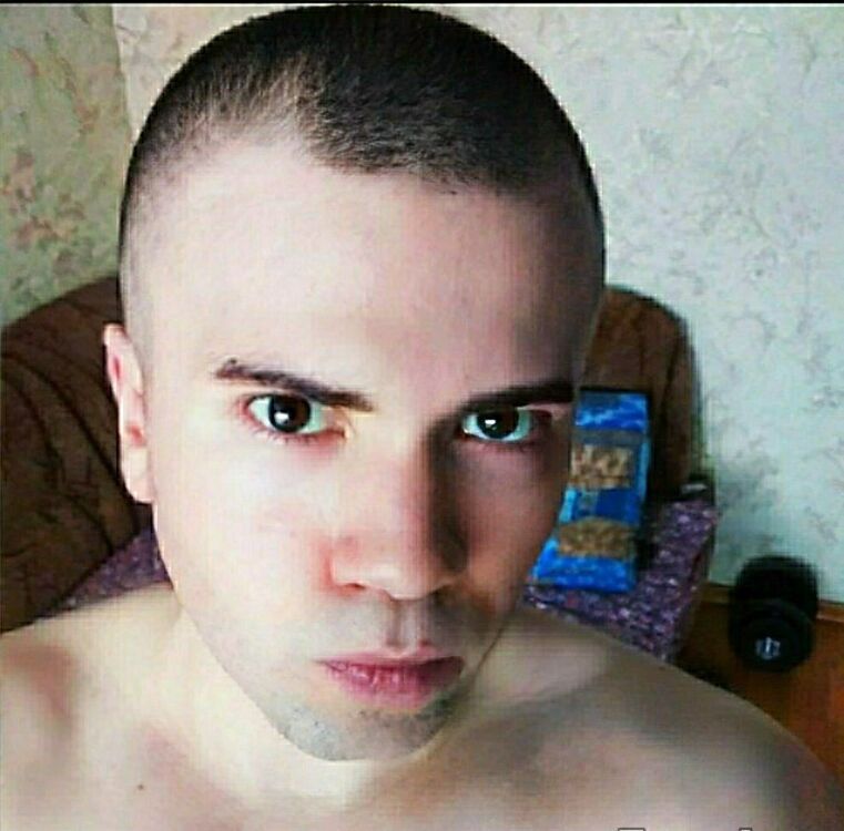  53472403  , 43 ,    