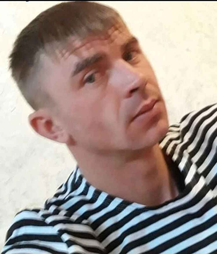  29231403  , 36 ,    