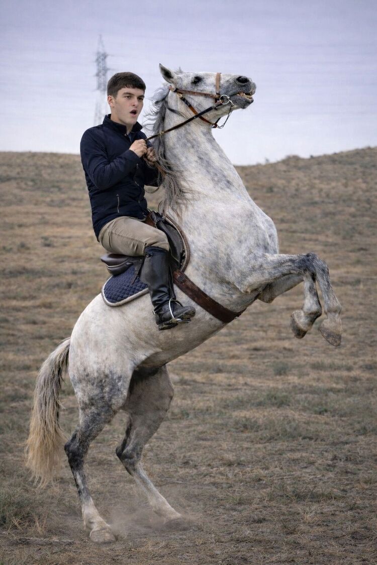 ���������� �������, ���� ����� ����, 24 ����, ������������ ��� ������, ����� � ���������