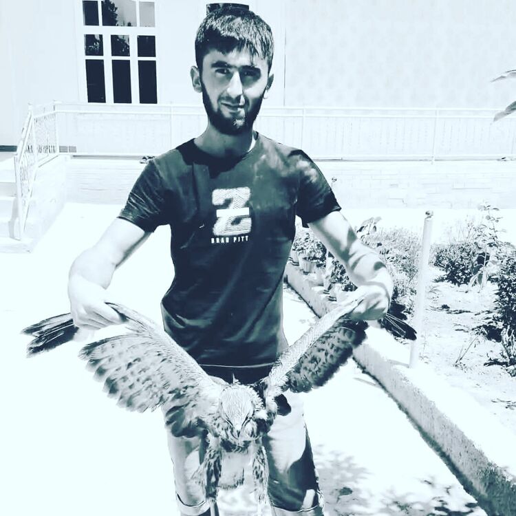  ,   Ali, 27 ,     , c 