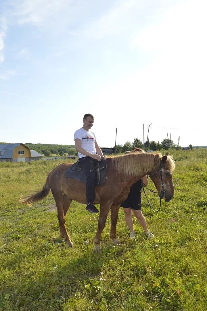 ���� 49887223 ������� ������, 48 ���, ���� ���������� � ������