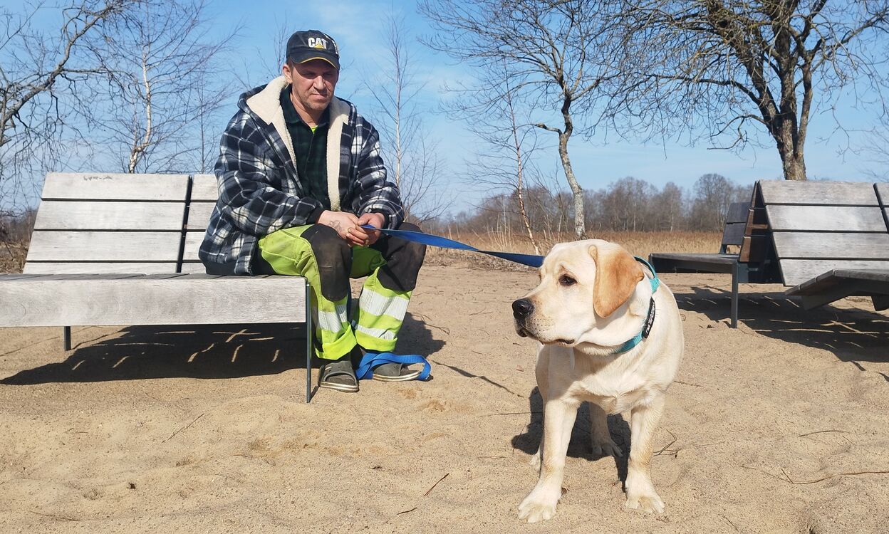 ���� 56106793 ������� ���, 54 ����, ���� ���������� � ��������