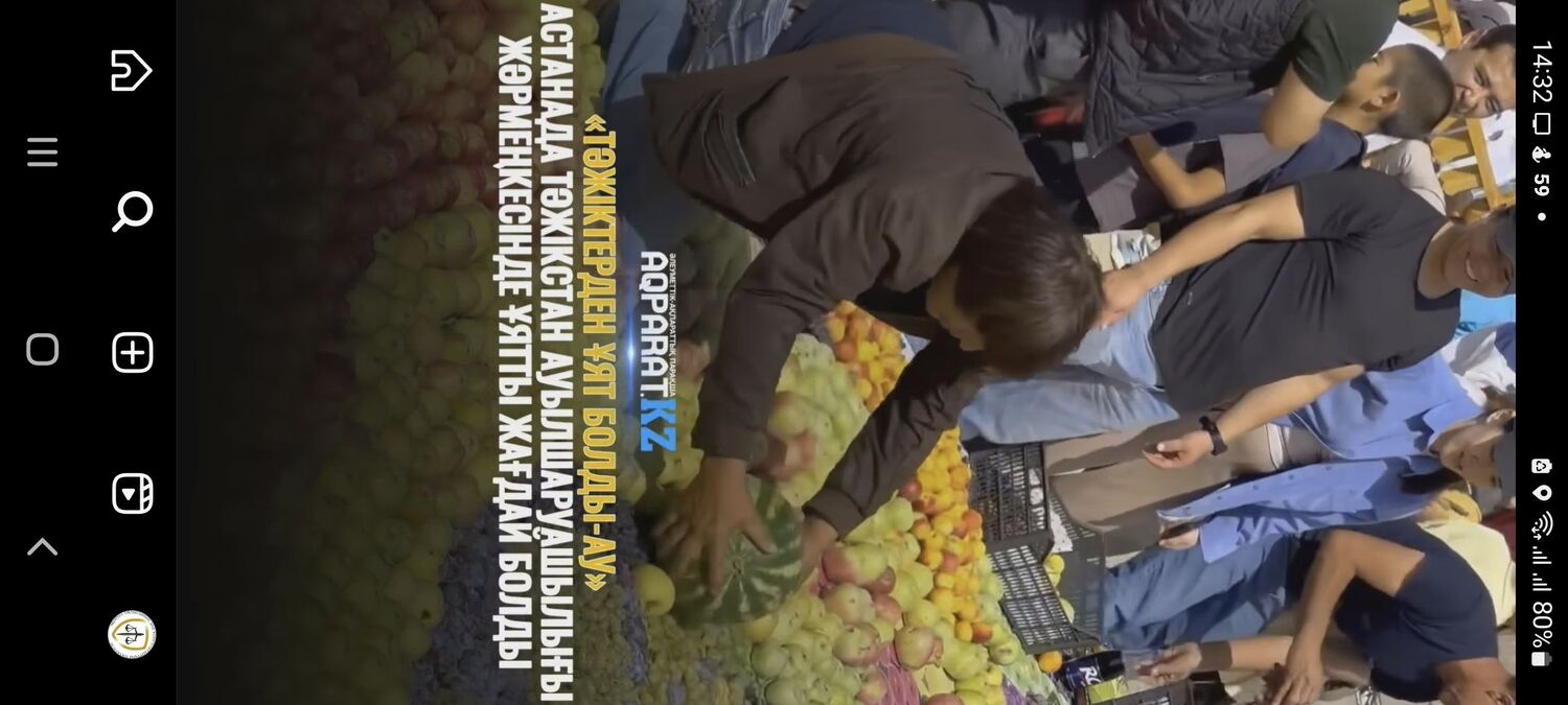 ���� 37538803 ������� ������, 42 ����, ���� ���������� � ������