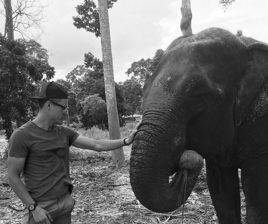 ���������� ������, ���� ������� ���������, 34 ����, ������������ 