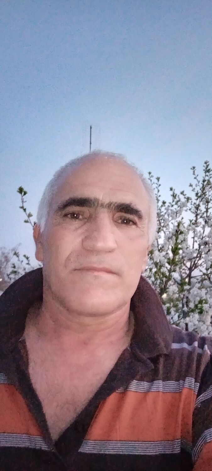  43994363  , 59 ,    