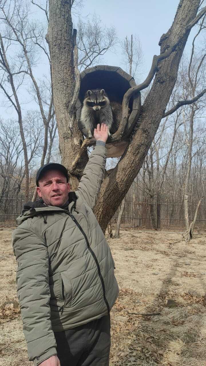  ,   , 43 ,   