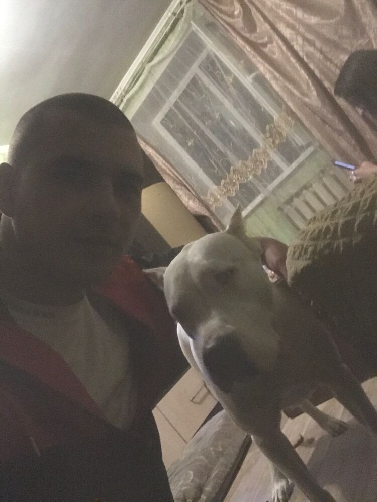  31038193  , 31 ,    