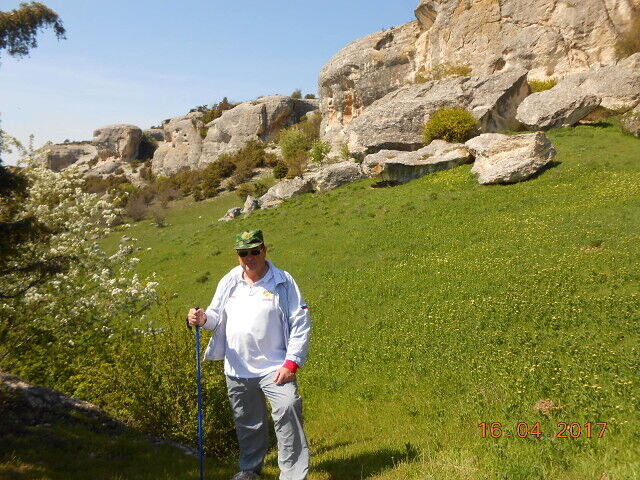 ���� 56201793 ����� ��������, 20 ���, ���� ���������� � ����������