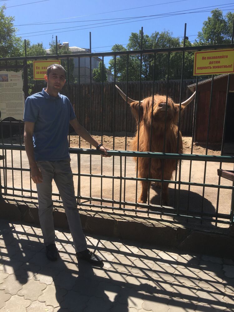 ���������� ������ ��������, ���� ������� ����, 36 ���, ������������ ��� ������, ����� � ���������, c�������� ���������, ���������