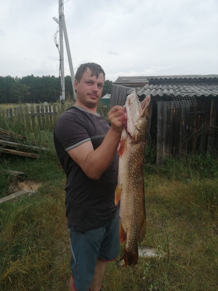 ���� 19851533 ������� ������, 45 ���, ���� ���������� � ������