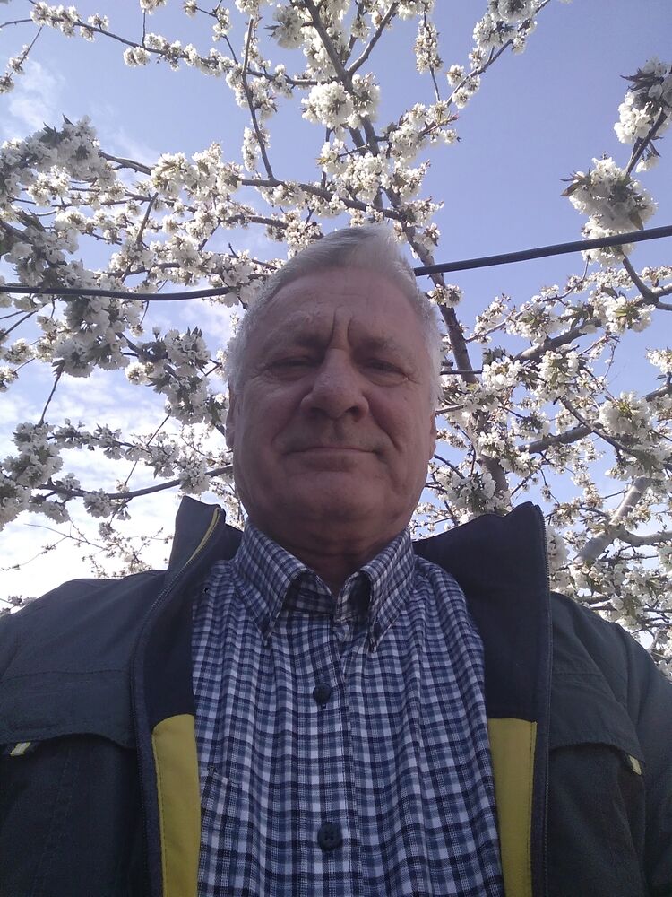  ,   , 74 ,   c 