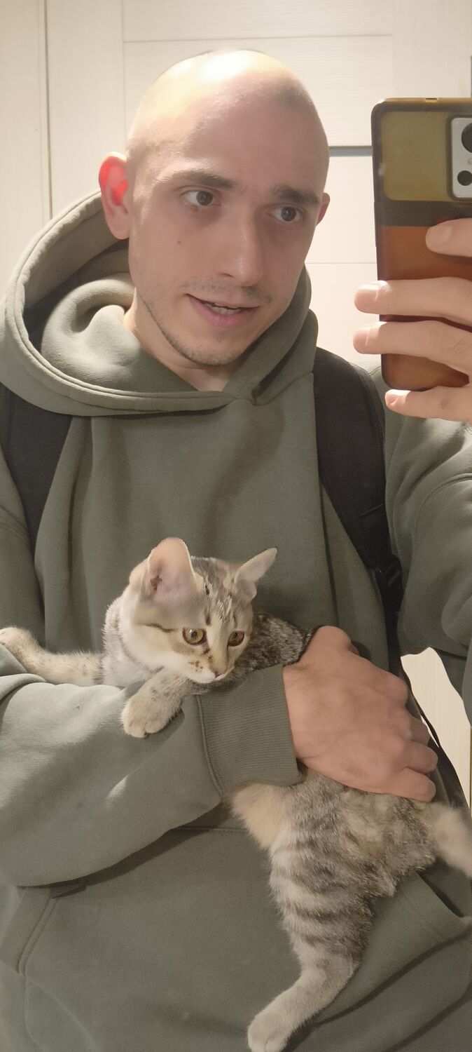 ���� 56306783 ������� �������, 31 ���, ���� ���������� � ����������