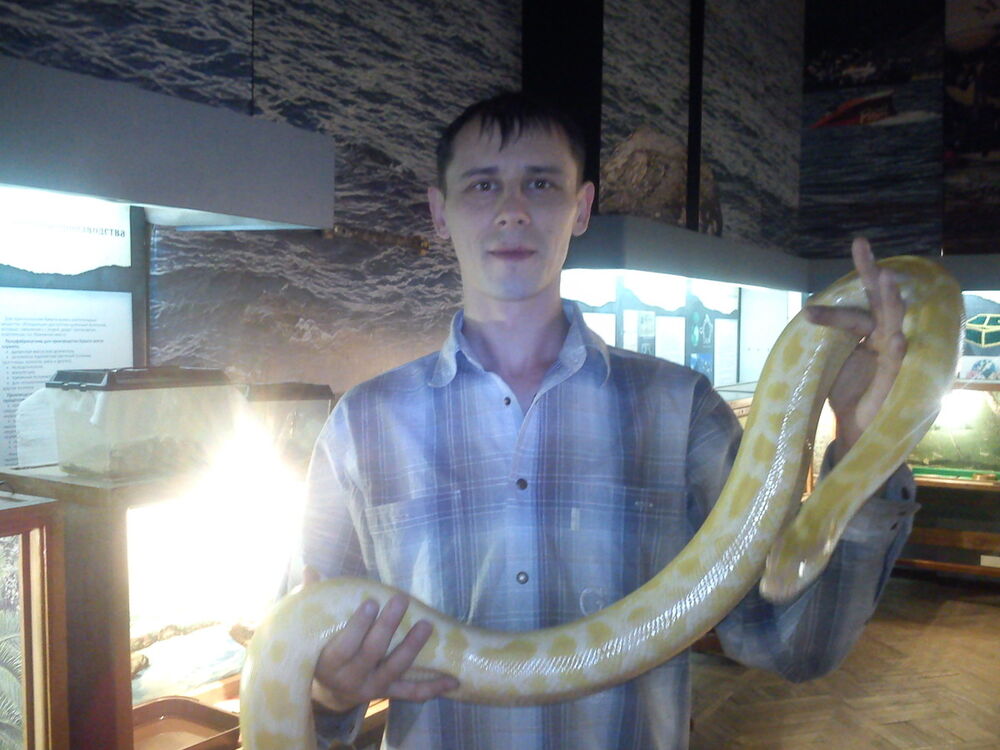 ���� 5485743 ������� �����, 43 ����, ���� ���������� � ����-���