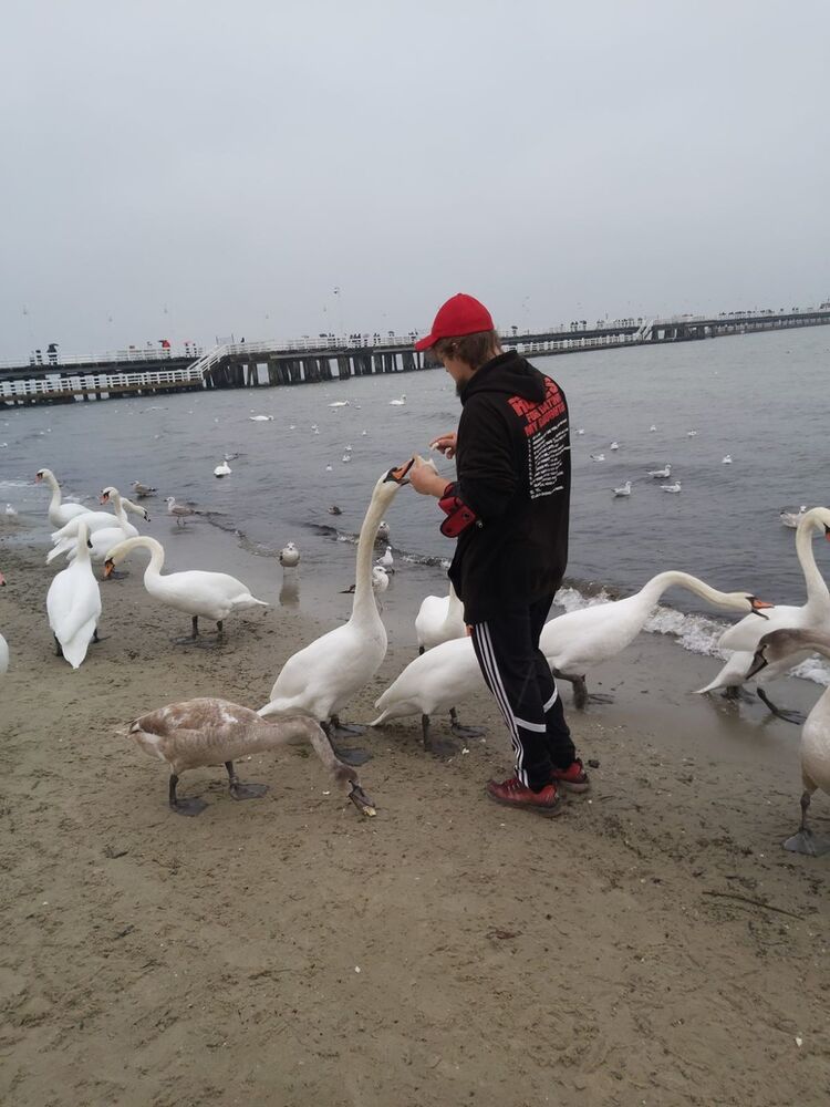  ,   , 35 ,   ,   , c 