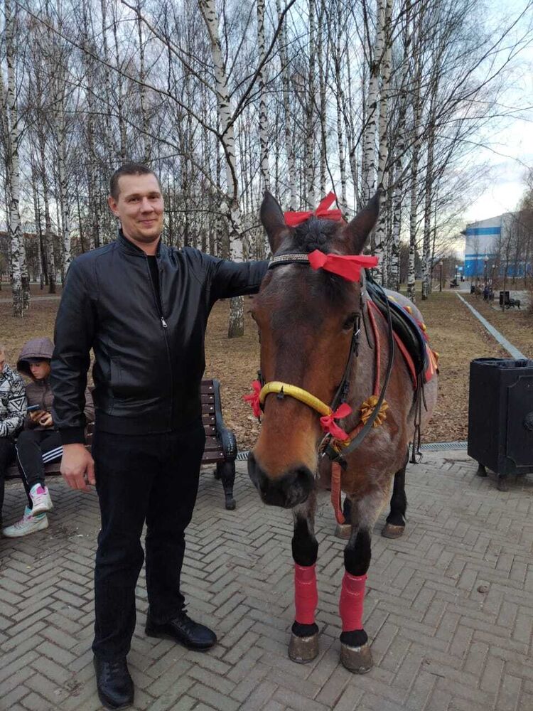 ���������� �����, ���� ������� �������, 36 ���, ������������ ��� ������, ����� � ���������