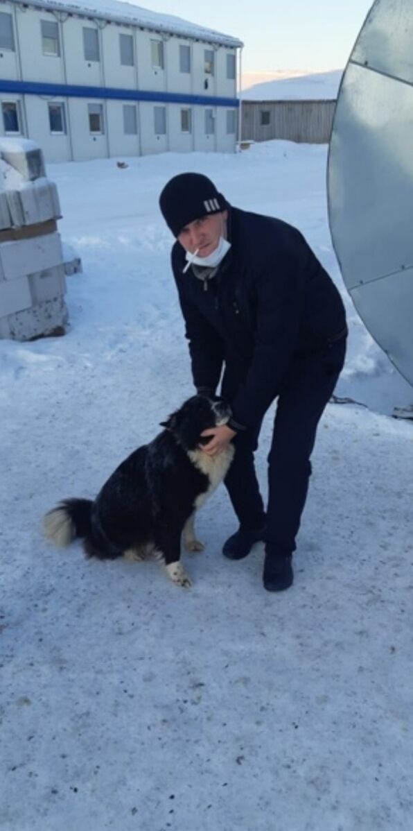 ���������� ��������, ���� ������� Ը���, 36 ���, ������������ ��� ������, ����� � ���������, c�������� ���������