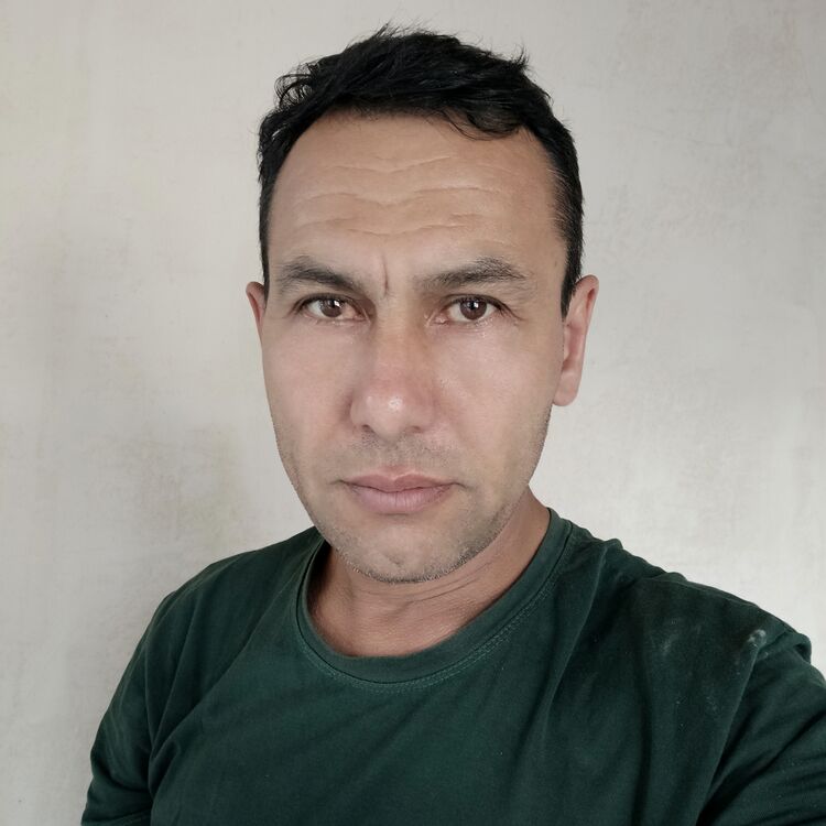  35939553  , 50 ,    -