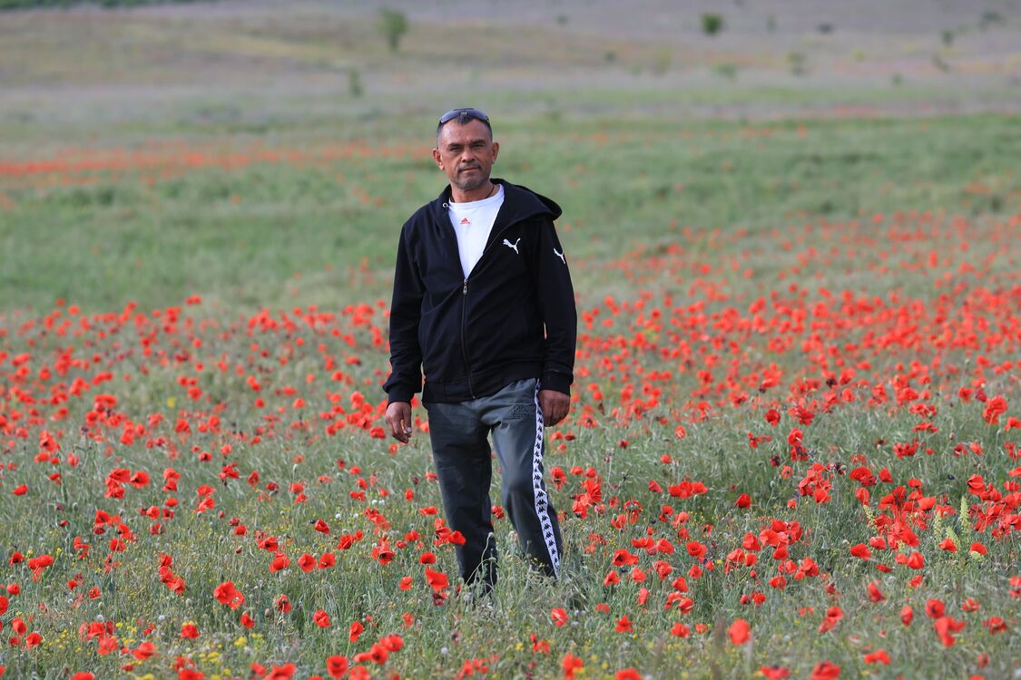 ���� 55153023 ������� �������, 46 ���, ���� ���������� � �����������