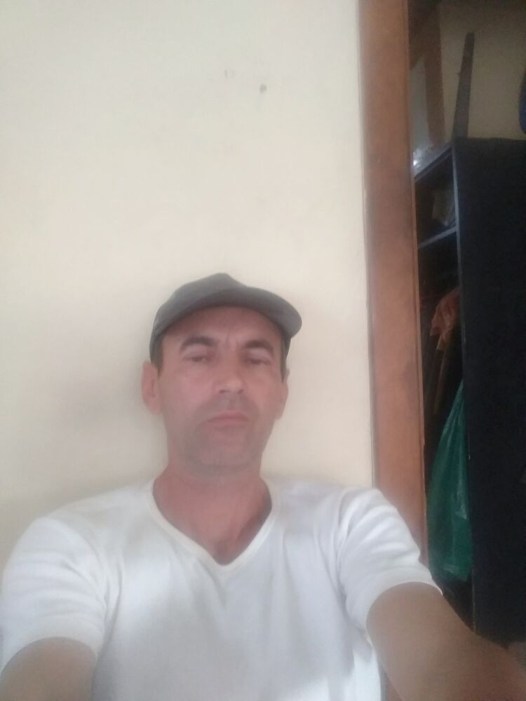  29311263  , 53 ,    