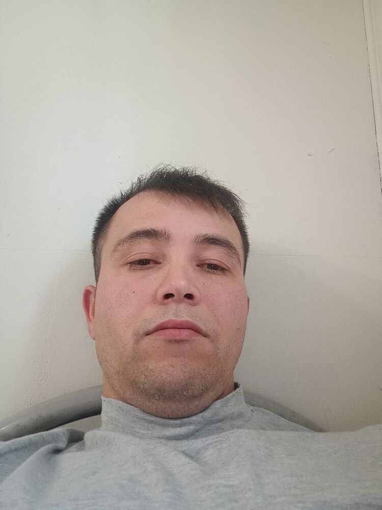  43784883  , 31 ,    