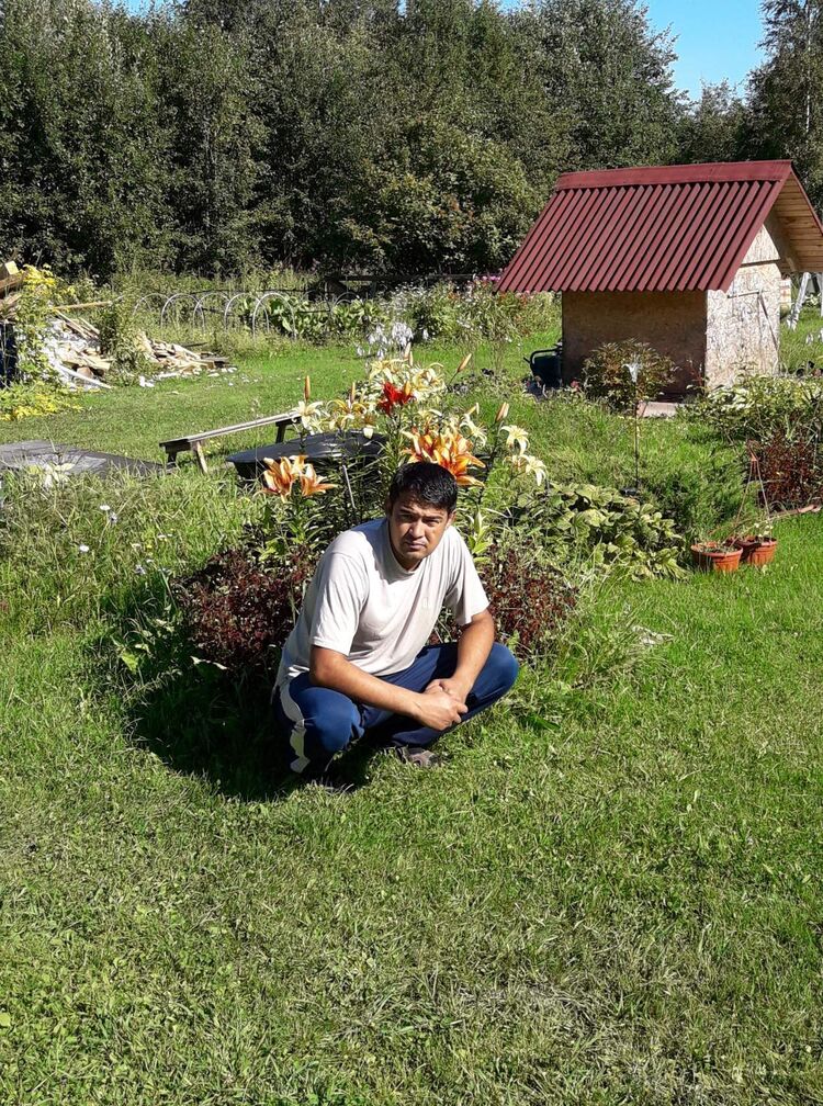 ���� 27505133 ������� ����, 44 ����, ���� ���������� � ������������