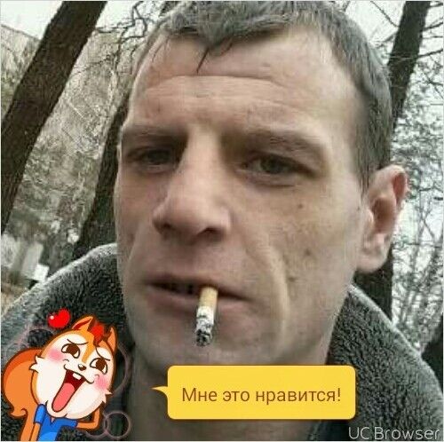  7952863  , 40 ,     