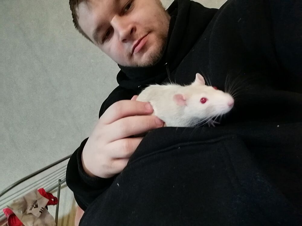 ���� 45707383 ������� ��������, 28 ���, ���� ���������� � ������������