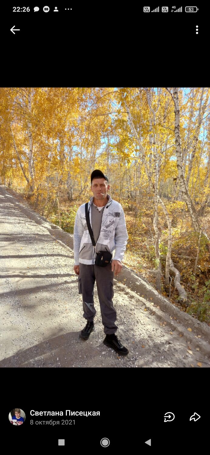 ���� 53553363 ������� �������, 48 ���, ���� ���������� � �������������