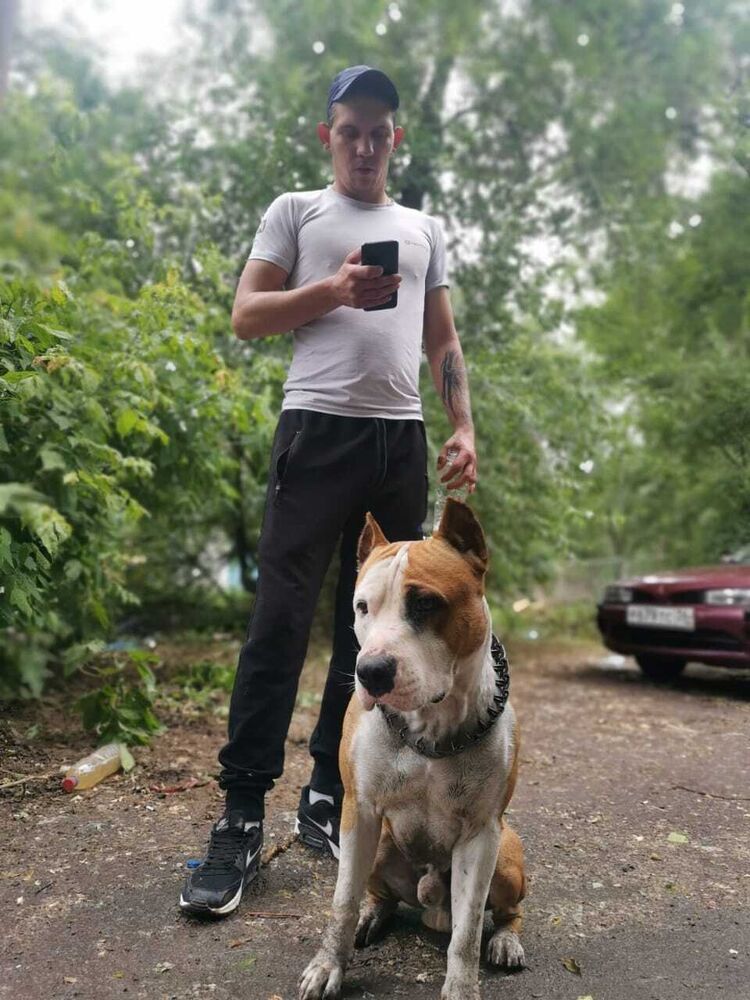 ���� 36216863 ������� Dmitry, 29 ���, ���� ���������� � ������