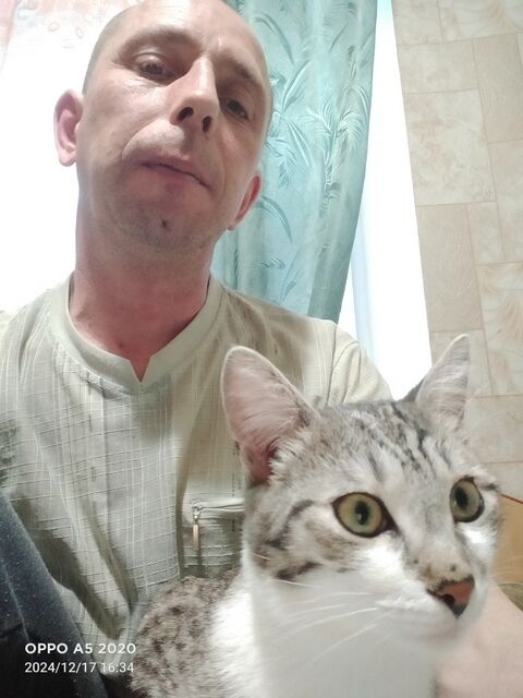  ,   , 45 ,   ,   , c , 