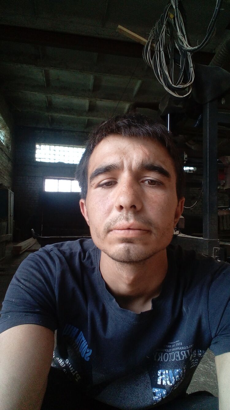  23045643  , 29 ,    