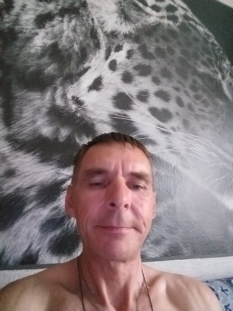  43660593  , 51 ,    