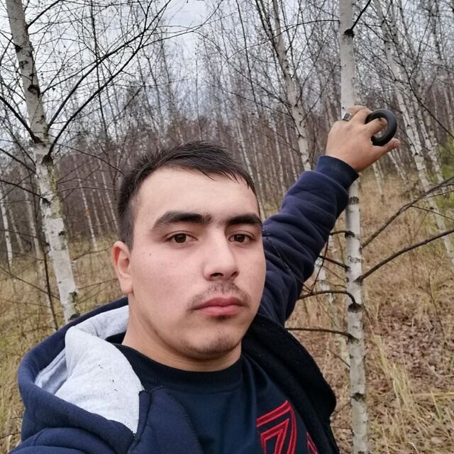 ���� 33840503 ������� ����, 28 ���, ���� ���������� � �����������