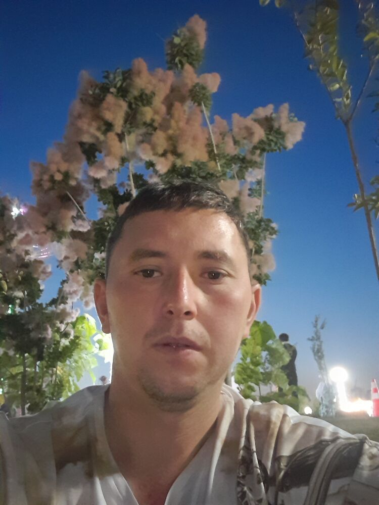  47586853  , 36 ,    