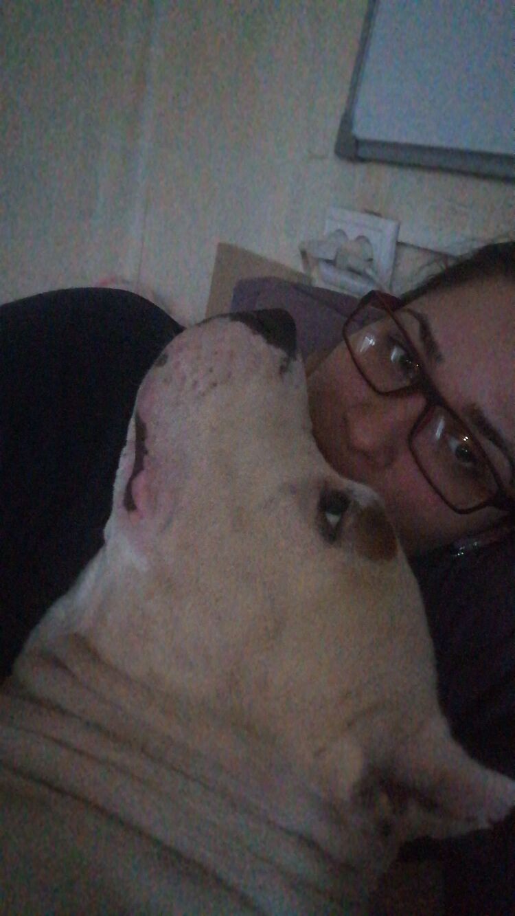 ���������� �����, ���� ������� �������, 33 ����, ������������ ��� ������, ����� � ���������, c�������� ���������, ���������