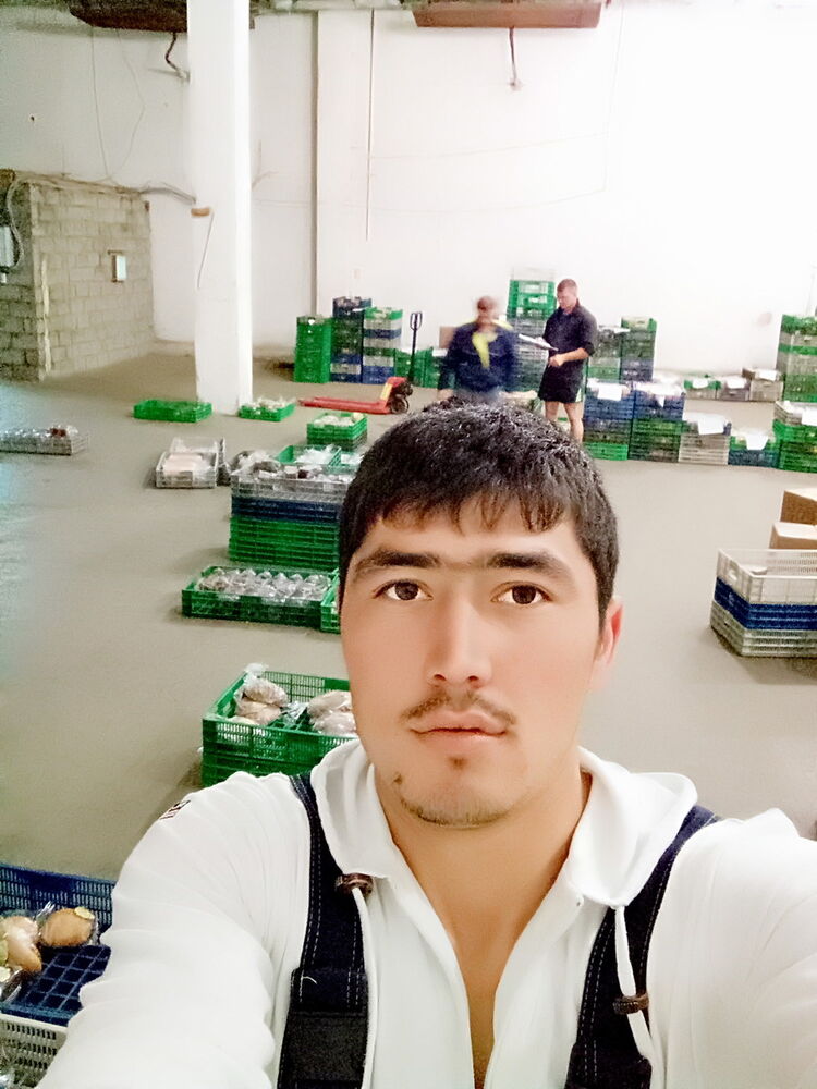  10181893  Same, 37 ,    