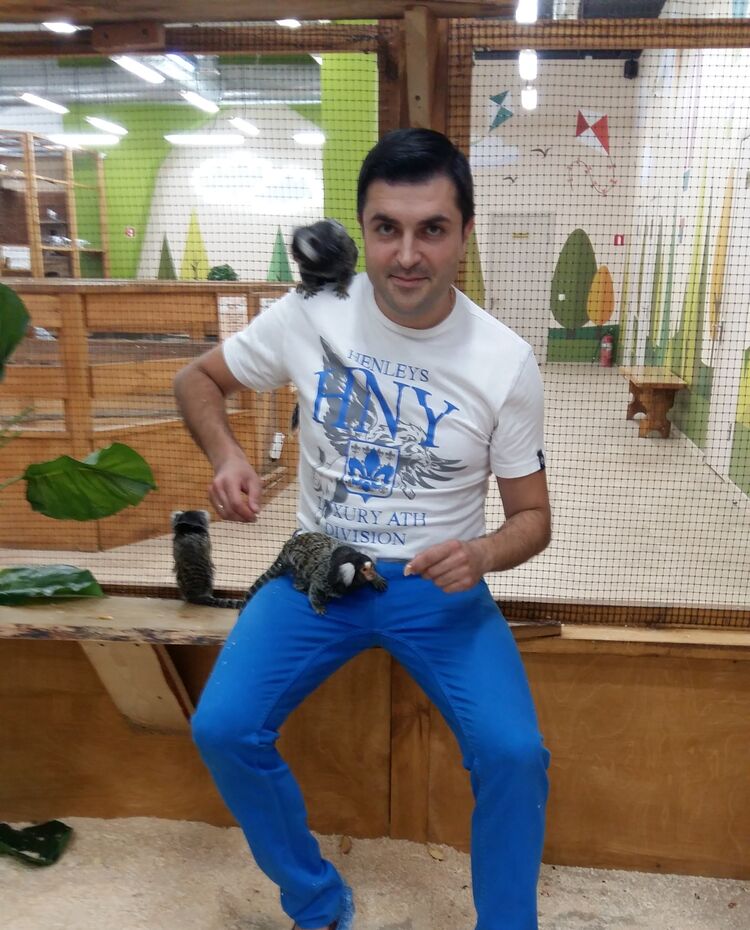 ���������� ������, ���� ������� ���������, 43 ����, ������������ ��� ���������