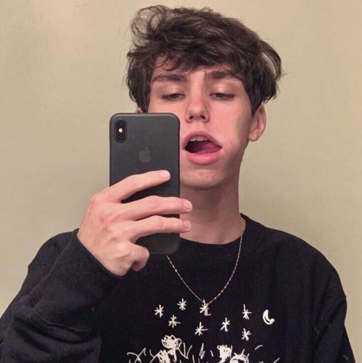  19098523  , 24 ,    