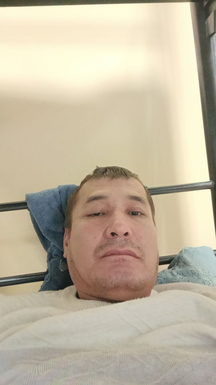 ���� 53815533 ������� �����, 43 ����, ���� ���������� � ������