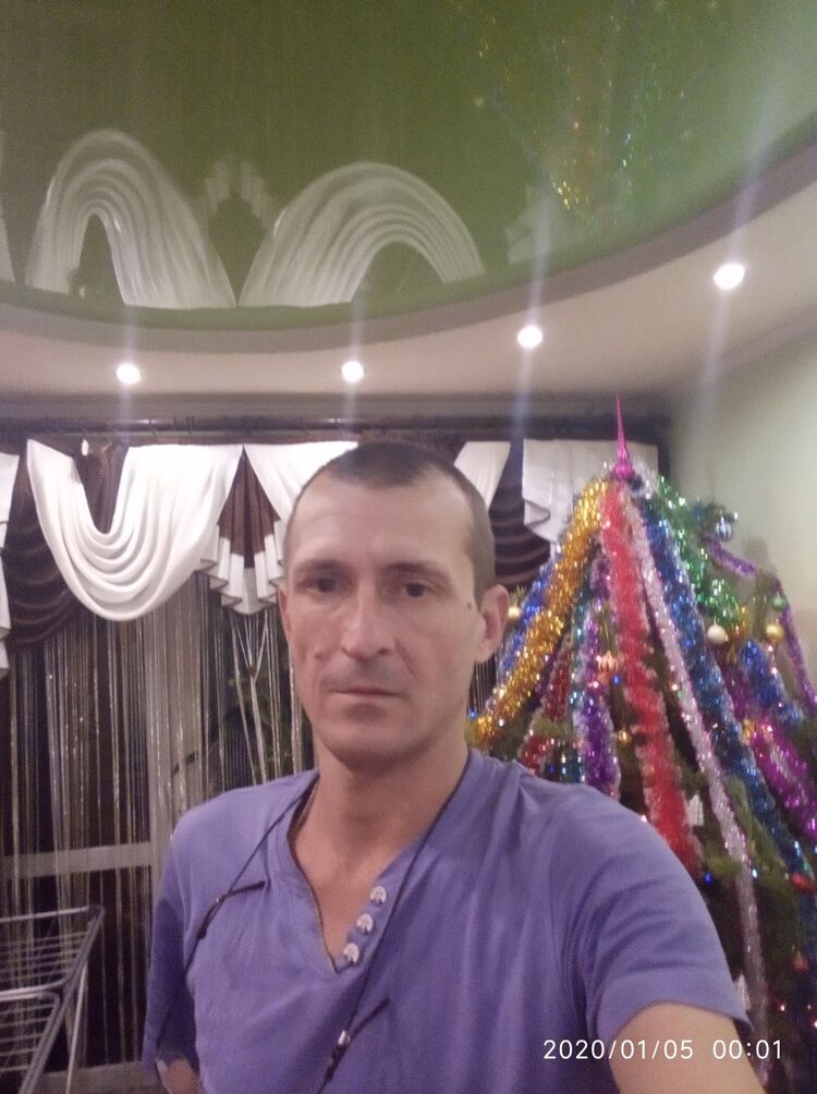  19108653  , 50 ,    