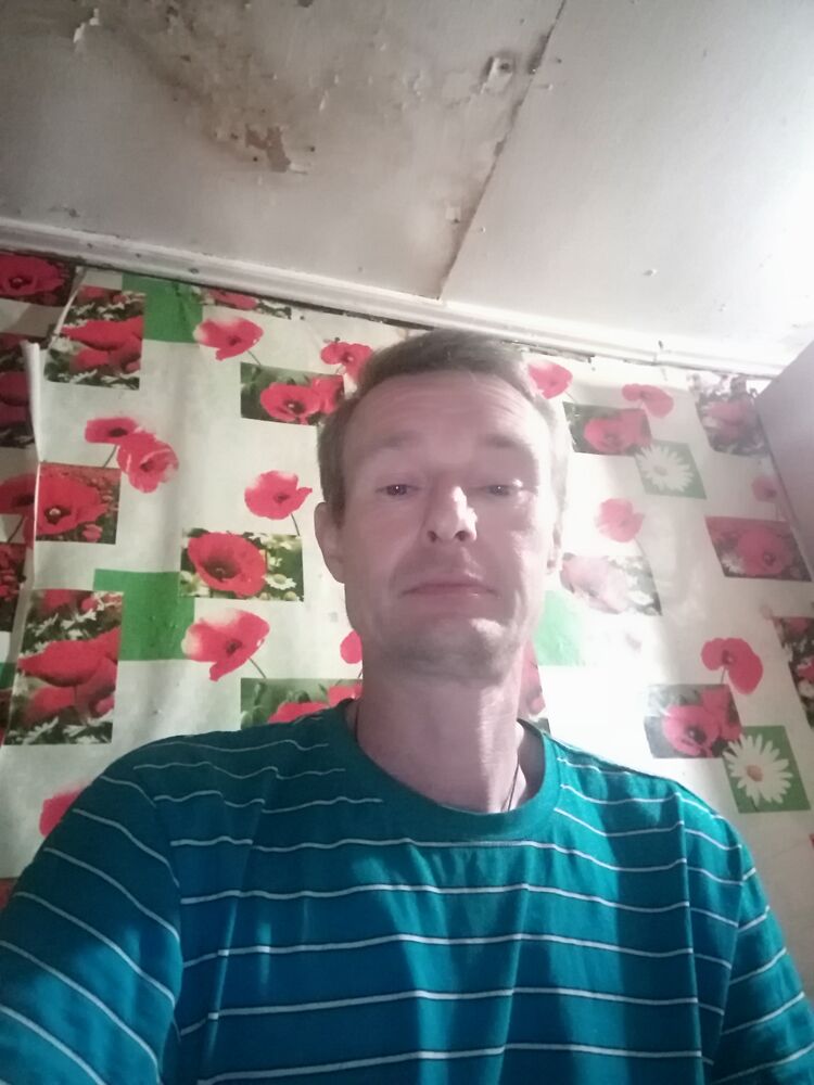 ���� 28134293 ������� �������, 50 ���, ���� ���������� � �����