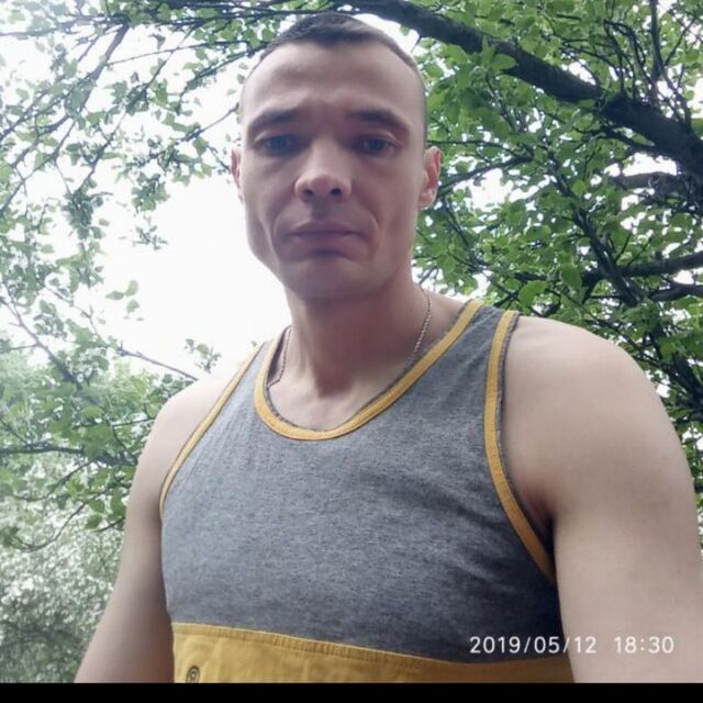  29211853  , 40 ,    