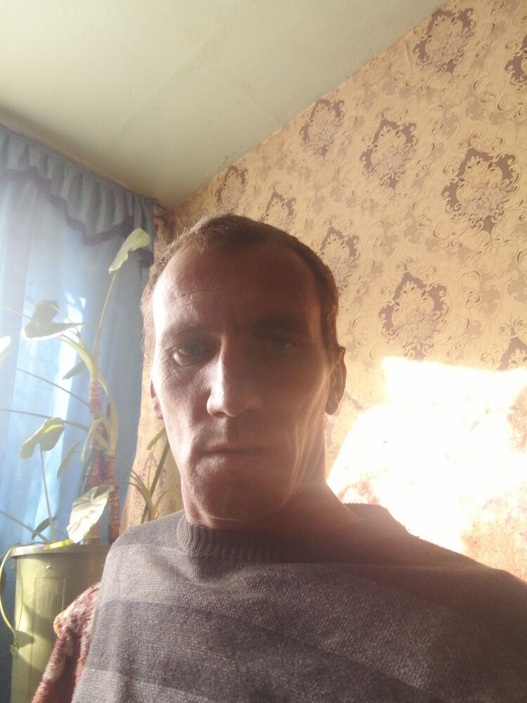  31059843  , 36 ,    