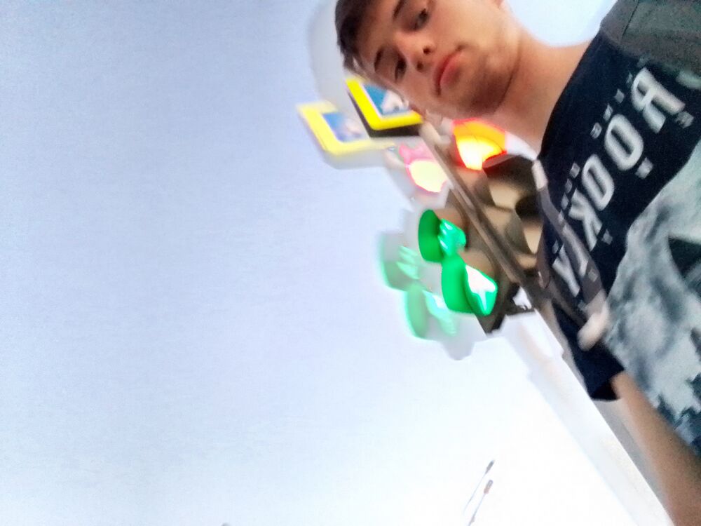  29248273  , 22 ,    