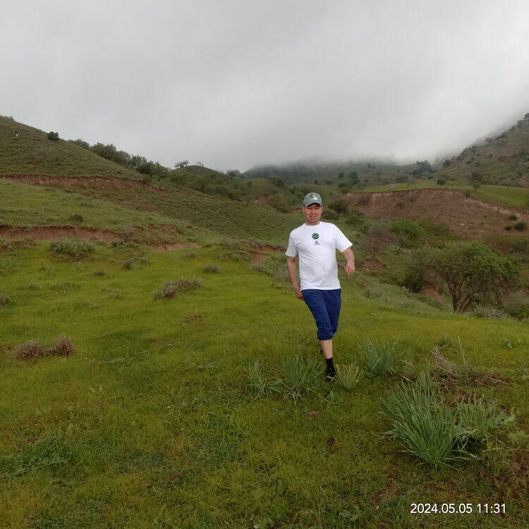 ���� 43933343 ������� ����, 39 ���, ���� ���������� � ������