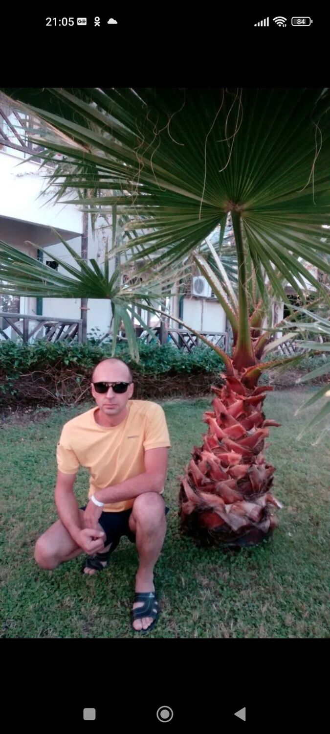 ���� 30882473 ������� A�����, 45 ���, ���� ���������� � ��������