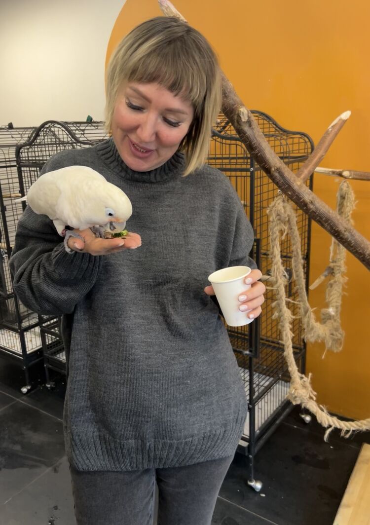 ���������� ������, ���� ������� ��������, 53 ����, ������������ ��� c�������� ���������