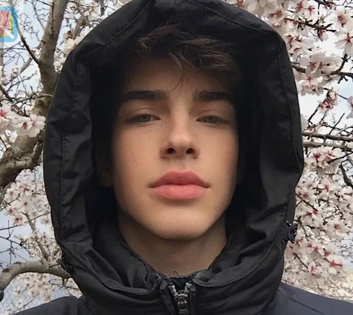 ���� 43778363 ����� ����, 23 ����, ���� ���������� � ���������